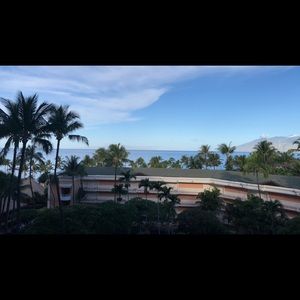 Meet your Posher, Mona